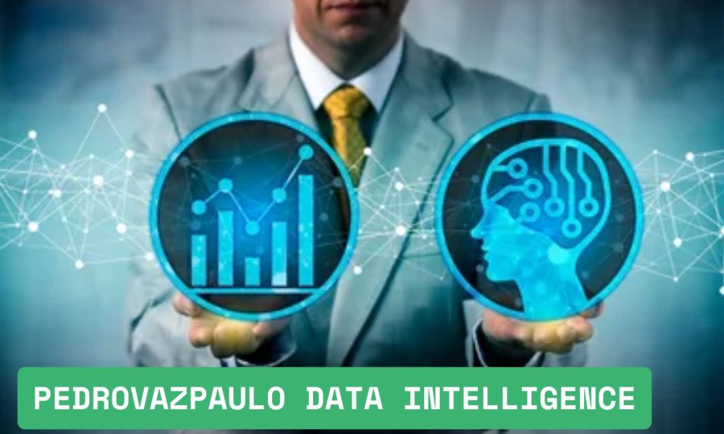 Pedrovazpaulo Data Intelligence