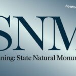 SNM Meaning in Texting: What It Is & When to Use It SNM Meaning